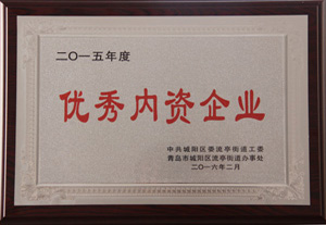 2015年度优秀内资企业